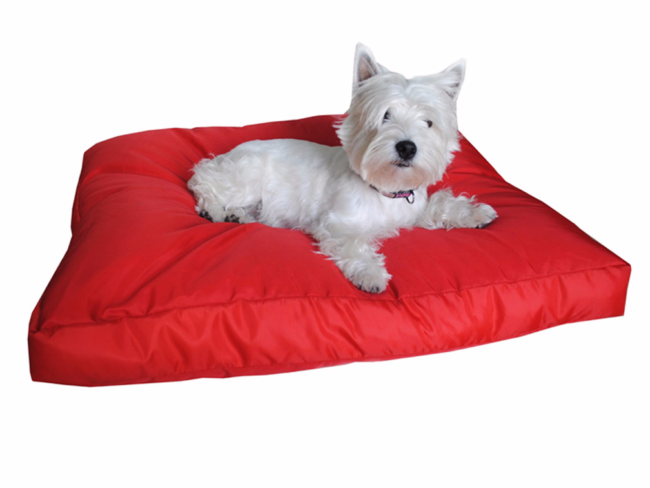 Cama Puff para Mascotas Freedom Puppy Zen Confort-MUEBLERIA GOT MUEBLES MONTERREY