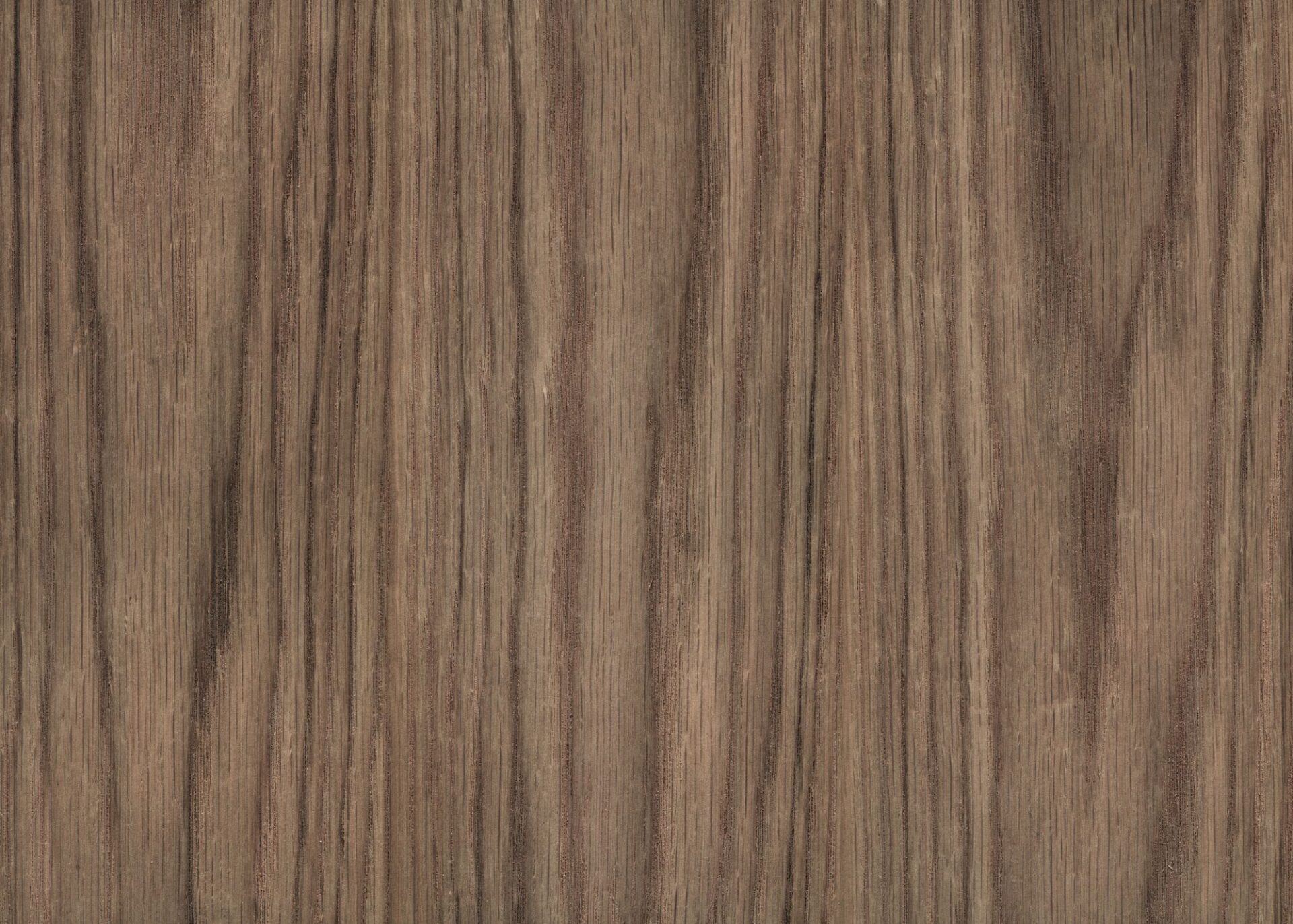 ¿Por qué elegir la madera de encino para hacer muebles?