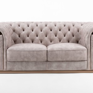 Divani Casa Dosie - Loveseat de transición de terciopelo beige