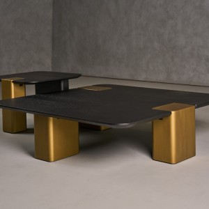 Modrest Harold - Juego de mesa de centro cuadrada moderna de roble negro + oro cepillado