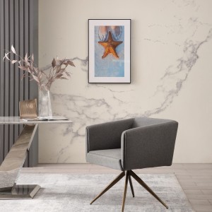 Modrest Riaglow - Silla de comedor contemporánea de tela gris oscuro