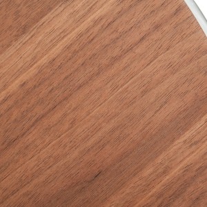 Mesa de centro moderna Modrest Silvia de nogal y acero inoxidable