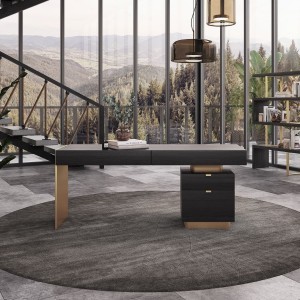 Modrest Trahan - Escritorio de oficina moderno de olmo gris y dorado