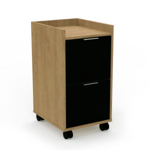 Archivero Movil con 2 archivos